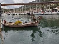 IMG_20220927_192512_289